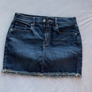 Express Denim Skirt